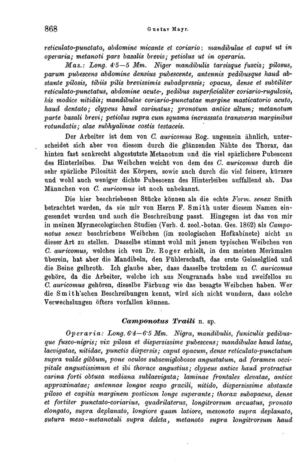 868 Gustav Mayr. reticulato-punctata, abdomine micante et coriario ; mandibulae et caput ut in oneraria; metanoti pars basalts brevis; petiolus ut in operaria. Mas.: Long. 4*5 5 Mm.