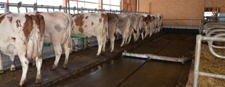 Eidgenössisches Departement für Wirtschaft, Bildung und Forschung WBF Agroscope Fressstände für Milchkühe I Erste Ergebnisse der Emissionsmessungen S.