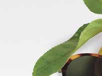 Die Sonnenbrillen sind jetzt transparenter, filigraner und klarer puristische Modelle sind in diesem Sommer absolut im Trend!