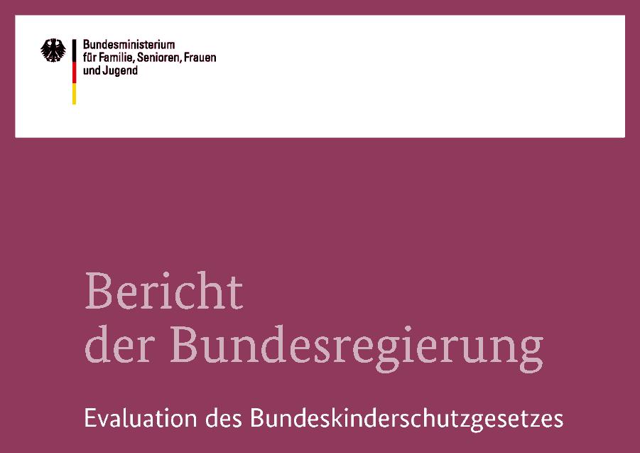 Evaluationsbericht der Bundesregierung Bundesministerium für Familie, Senioren, Frauen und Jugend (Hrsg).