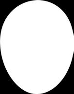 Teller oval farbig 21,5 cm / plate oval coloured 21,5 cm 917-6011-50102081 917-6011-50701081
