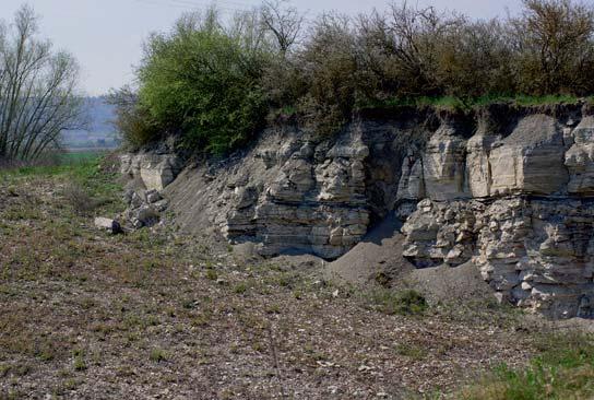 Geologie Die Entstehung der Gipshügel geht auf Verkarstungserscheinungen im anstehenden Gestein zurück. Gipsgestein ist sehr wasserdurchlässig, Regenwasser kann gut eindringen.