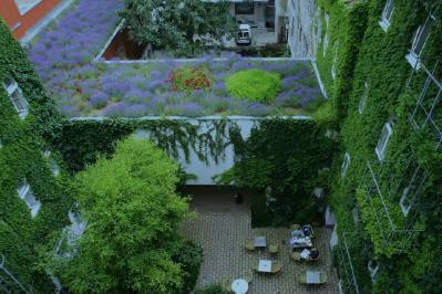 Beispiel Lavendeldach (Wien) System: