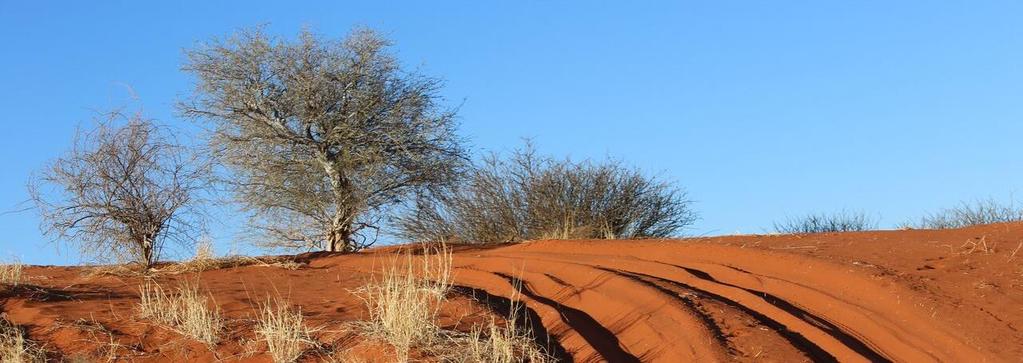Fahrt in die Namibische  Unterwegs Fotostopp an Aussichtspunkten mit