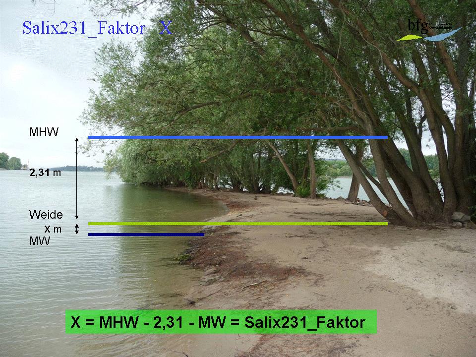 Abb. 1: Visualisierung der Berechnungsformeln Bei großem X (1,0 bis 2,0 m und größer) koppelt sich der Fluss immer mehr von seinen Auen ab.