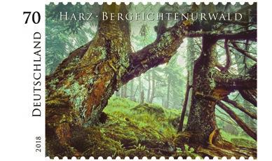 faszinierendes Naturparadies: der Harz.