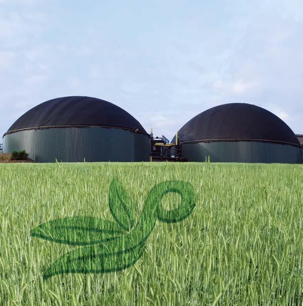 Energiemischung Planterra EMU 6010 Triple Energy Massenhaft Energie mit Massimo Triple Energy ist eine speziell konzipierte Ganzpflanzen silagemischung für die Biogaserzeugung.