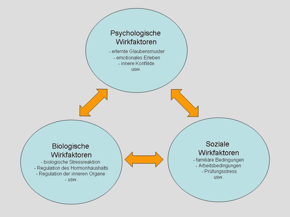 Das biopsychosoziale Modell (BPS Modell) http://praxis-rosenauer.