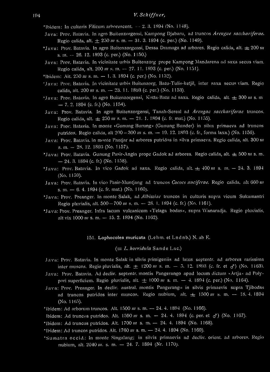 per,) (No. 1150.) Java: Prov. Batavia. In vicinitate urbis Buitenzorg prope Kampong Mandarena ad saxa.secus viam. Regio calida, alt. 200 jm s. m. 27. 11. 1893 (c. per.) (No, 1151). "Ibidem: Alt.