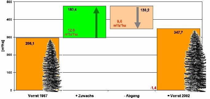 Deutschland ist Europameister: Holzvorräte im Vergleich (Quelle: BWI II, Polley) 39%