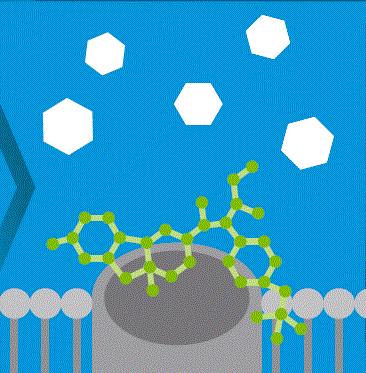 Indoxacarb: Metabolische Aktivierung Phase 1 Phase 2 Phase 3