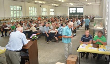 13. Brandenburgischer Rassetaubentag am 30.08.2015 in der Ernst- Mähler-Halle in Calau Unser Vorsitzende Martin Zerna konnte zusammen mit dem Vorsitzenden des KTZV Calau Hartmut Buchler um 10.