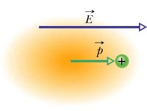Die (teilweise) ausgerichteten Dipole erzeugen ein elektrisches Feld, das dem äußeren Feld entgegengesetzt gerichtet und dessen Stärke
