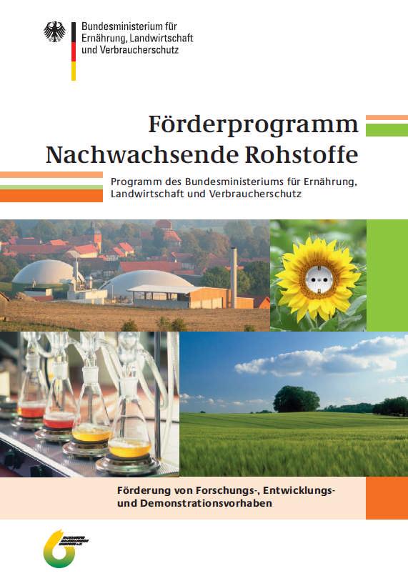 Aktuelle Maßnahmen zu Feldholz 1. Ertragsoptimierung/-modellierung 2. teils sehr umfangreiche Züchtungsprojekte zu Pappel, Weide, Aspe, Robinie 3.