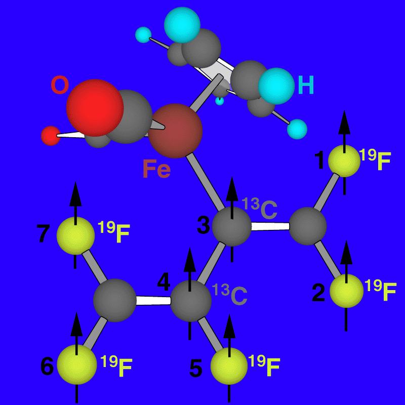 Realisierungsmöglichkeiten NMR Perfluorobutadienyl-Eisen-Komplex mit sieben individuell adressierbaren