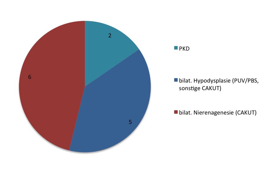 Die häufigste Ursache eines ROH waren CAKUT (21/27, 77,7%; bilat. Hypodysplasie 12/27, 44,4%; bilat. Nierenagenesie 9/27, 33,3%), gefolgt von PKD (3/27, 11,1%).