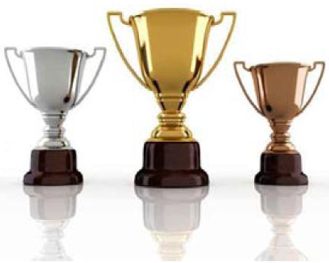 Makler-Champions 2011 Die TOP 10 der Krankenversicherer, Lebensversicherer, Schadensversicherer und