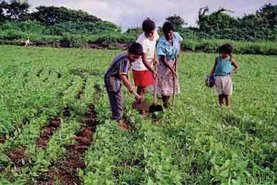 Hintergrundinformationen zur Städtepartnerschaft Kreuzberg - San Rafael del Sur, Nicaragua Die ländliche Region Die meisten Dörfer von San Rafael del Sur sind nur über Sandpisten zu erreichen, die