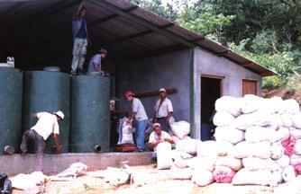 Hintergrundinformationen zur Städtepartnerschaft Kreuzberg - San Rafael del Sur, Nicaragua Eine neue Vermarktungsstrategie Erntezeit in San Rafael del Sur: Jedes Jahr ist das gleiche Phänomen zu