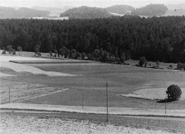 Ausschnitt des Waltrigenmooses, Standort des gerodeten Kühwaldes. Wo die Ebene von weichen Hügelchen unterbrochen wird, befindet sich der ehemalige Waldboden.