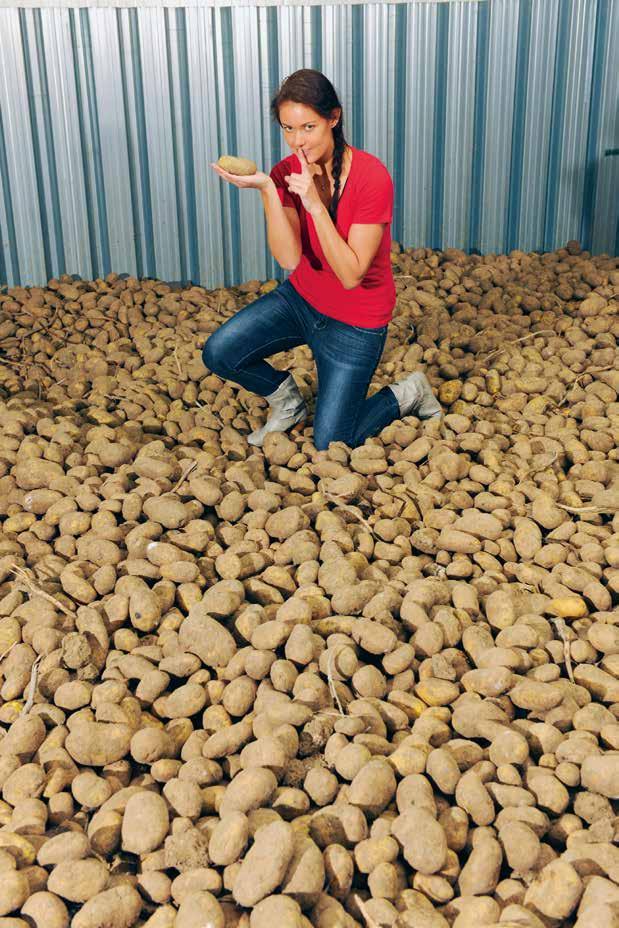 Kartoffeln Nachhaltigkeit Leguminosen Rüben Kartoffeln Mais Stickstoff-Management Raps Getreide 1,4Sight *: Keimruhe-Verlängerung für Kartoffeln Segment Einsatzkulturen Wirkstoff Einsatztermin