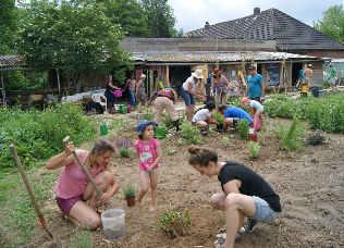 ökologischer Gartenbau, Workshops, Bildungsprojekte, Experimente jardinage écologique, ateliers, projets culturels/éducatifs