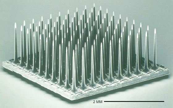 Messaufbau zur Bestimmung der Impulsantworten der Retina Messaufbau mit Multielektrodenarray PC