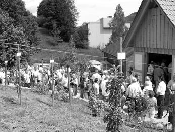 Obst- und Gartenbauverein Weisenbach Gartentreff am 18. Juli Kirchliche Nachrichten KATHOLISCHE PFARRGEMEINDE Pfarrkirche St.