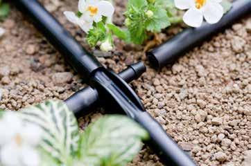 Gartenbewässerung - MicroDrip (Tropfbewässerung) Komplettsets MicroDrip einsatzbereites Tropfbewässerungs-Kit für die optimale Bewässerung des häuslichen Gemüsegartens für die