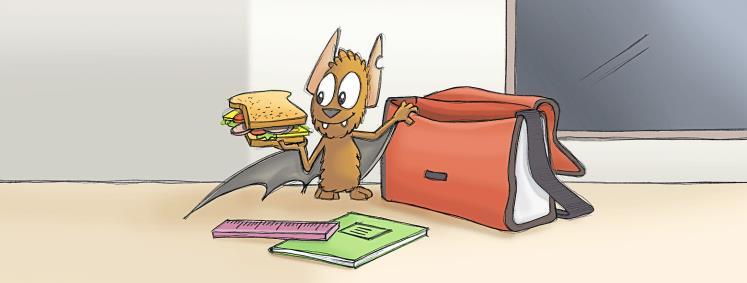 G5 Der Artikel: a, an und the The article: a, an and the the و an a, أدوات التنكير والتعريف: G5 What s in Olivia s bag? A ruler, an exercise book and a sandwich. Was ist in Olivias Tasche?