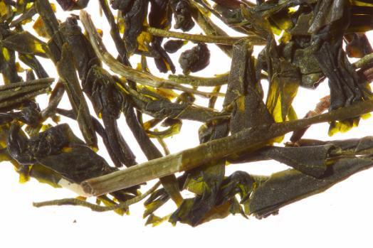 GRÜNER TEE, lose Zutaten 500800 3200 Green Himalajian Vorbestellartikel 1x250g Ein angenehmer, aromatischer grüner Tee mit einer hellgrünen Tasse.