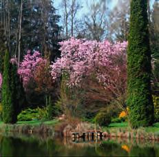 Mai) Ein ganz besonderes Kleinod ist der Marzellus-Garten bei Weißenhorn.