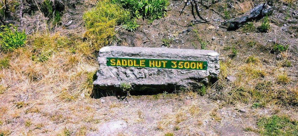 Die Fahrstrecke umfasst ca. 80 Kilometer. Die Fahrzeit beträgt ca. 1 ½ Stunden. Die Wanderzeit am Berg beträgt ca. 5 Stunden. 3. Saddle-Hütte (bis 3.570 Meter ü.d.m.) Der Weg führt Sie durch den faszinierenden Bergregenwald in die höheren Regionen des Mount Meru.