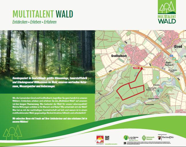 3. Wandern 2018: Neuer Themenwanderweg Multitalent Wald Themenweg