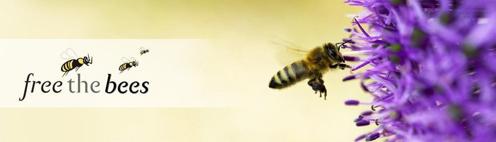 Konkrete Wege aus dem Bienensterben Bienen-Tagung vom Förderverein Zürich für biologischdynamischen Landbau und assoziative
