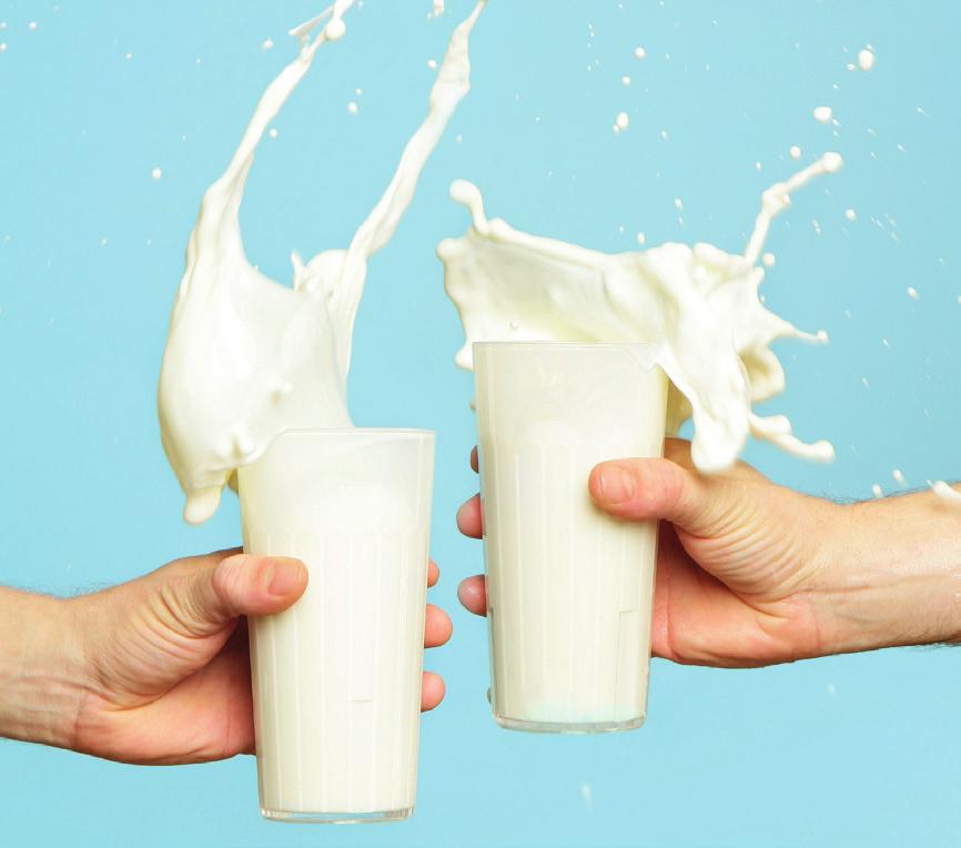 Calcium- und Vitamin-D-reiche Ernährung Die besten Calciumlieferanten sind Milchprodukte, welche zusätzlich auch Eiweiss enthalten und für Knochen und Muskeln wichtig sind, sowie