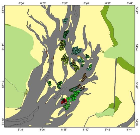 WP 2: Eulitorale Verteilungsmuster LLUR, LKN-NPV, FTZ (Geo & Eco), AWI, KMU Sedimente,