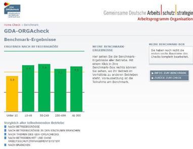 Arbeitsprogramm Organisation GDA-ORGAcheck Online-Selbstbewertungsinstrument