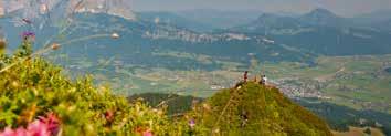 Schwierigkeit: Hochalpine Tour schwierig Horn-Panorama-Runde Höchster Punkt 1996 m, stelle entlang vom Ludwig Scheiber Steig Einkehrmöglichkeiten: