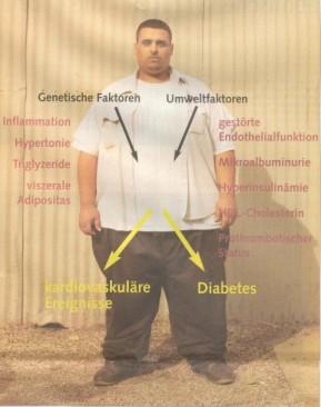 Das Metabolische Syndrom = Übergewicht + fettreiche Nahrung =