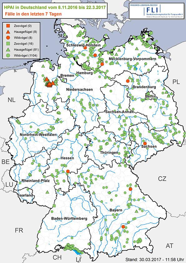 Im Winter 2016/2017 haben in Deutschland die Fälle bei Wildvögeln und die