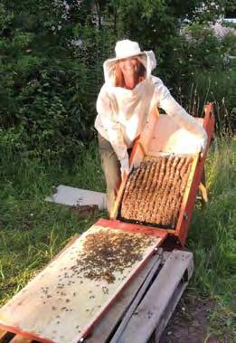 Bienen Eine Schauimkerei also. Dass es den Bienen gut geht und wir sie erhalten, steht im Mittelpunkt unseres Tuns.
