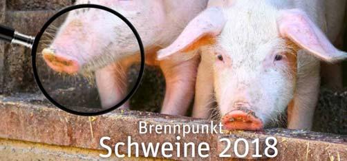 Proteineffizienz in der Schweinefütterung: Möglichkeiten und Grenzen BFH-HAFL- Zollikofen, 14.
