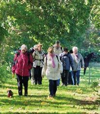 GRUPPEN Die hier genannten Veranstaltungen der Gruppen sind Gemeinschaftstouren in EIGENVERANTWORTUNG keine Führungstouren. Unsere Termine 28.01.2016 19 Uhr Gruppenabend 30.01.2016 Grünkohlwanderung 25.