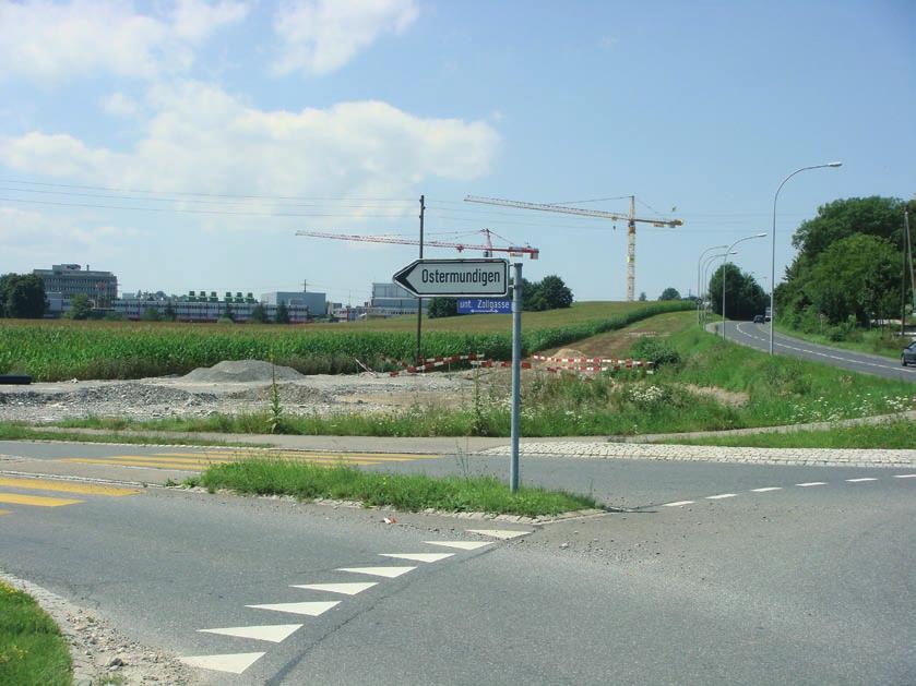 beispielsweise durch aussergewöhnliche Architektur oder künstlerische und kulturelle Interventionen. garten.