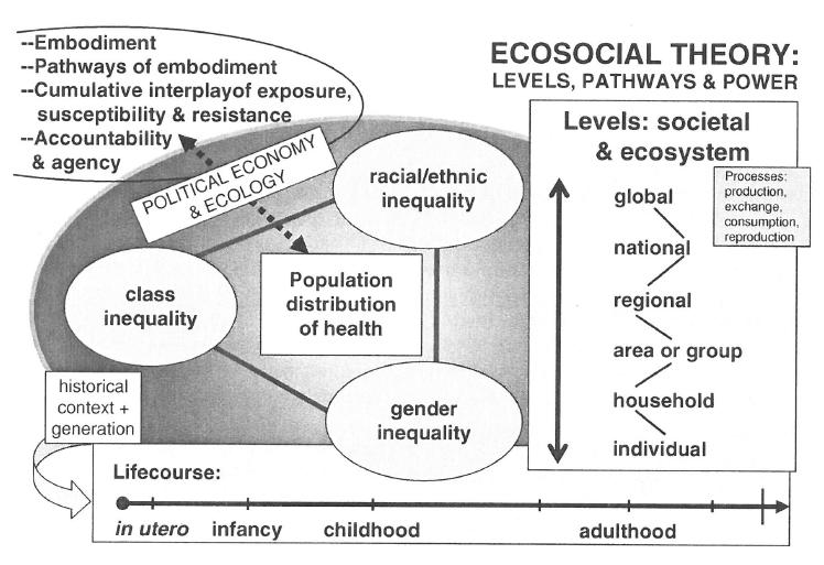 Erste Ergebnisse: Theoretische Grundlagen u.a. ökosoziale Ansätze: Krieger (2011: 214), Epidemiology And The People s Health.