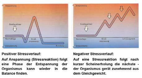 Stressverlauf aus Roger Longhi / Lernwerkstatt Stressarten [31] Positiver Eu Stress (anregend) Negativer Dis Stress (zerstörend) Schlafstörungen Nervosität Kopfschmerzen Appetitlosigkeit Müdigkeit
