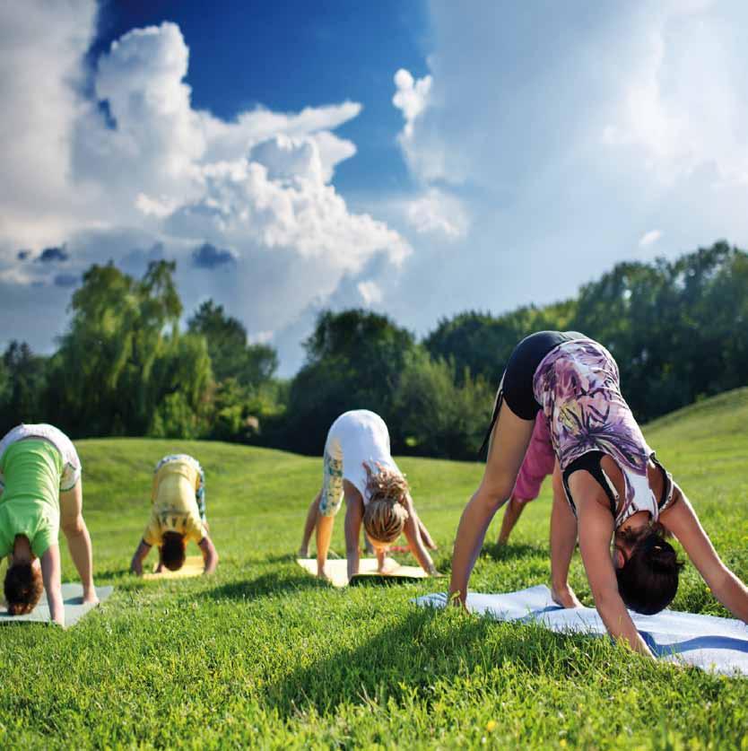 Detox Yoga nach den Jahreszeiten Mit Yoga und saisonoptimaler Ernährung durchs Jahr Detox Yoga ist eine spezielle Form des Vinyasa Yoga.