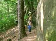 Kurz danach an einer großen Waldwegekreuzung (6,1 km) den links abknickenden Weg wählen, um auf dem geologischen Lehrpfad schließlich zum