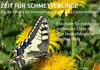 Zeit für Schmetterlinge Exkursion für Hobbyfotografen Am Samstag, 26. Mai 2018 ab 10.00 Uhr mit dem Fahrrad nach Beilstein (Start: Cochem-Sehl, Sehler Anlagen 9/10, Parkplatz Fahrrad Schrauth) 11.